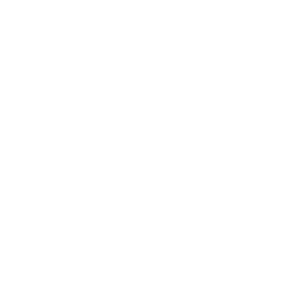 safari bottom logo