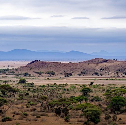 arusha