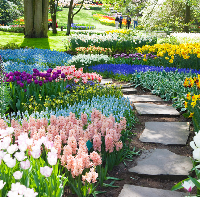 botanical gardens