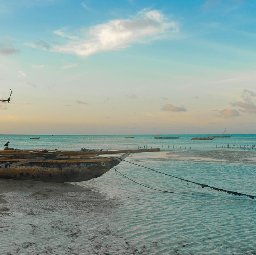 zanzibar